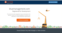 Desktop Screenshot of bluemanagement.com